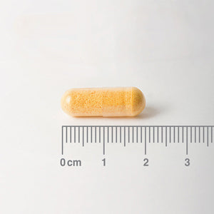 Riboflavina 50 mg - 100 Cápsulas