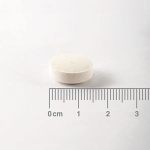 Zinc Plus  - 100 Pastillas