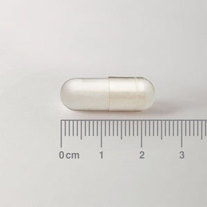 L-Acetil Carnitina HCl 500 mg - 60 Cápsulas