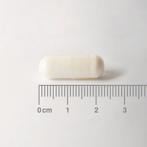L-Carnitina 500 mg - 60 Cápsulas