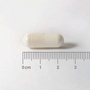 NAC (N-Acetil Cisteína) 300 mg - 90 Cápsulas