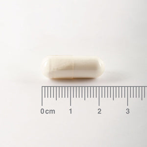 L-Glutamina 500 mg - 90 Cápsulas