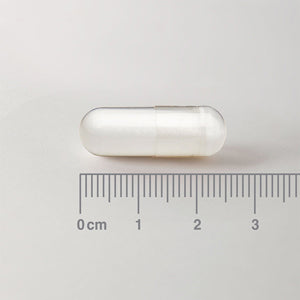L-Ornitina HCl 500 mg - 60 Cápsulas