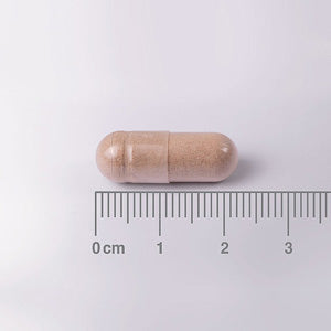 L-Teanina 200 mg - 60 Cápsulas