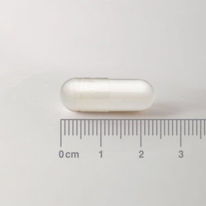 L-Fenilalanina 500 mg - 60 Cápsulas