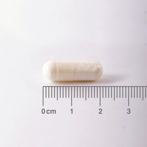 Taurina 500 mg - 60 Cápsulas
