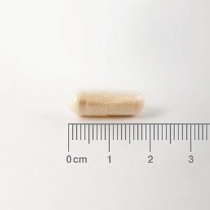 Digestizyme - 100 Cápsulas