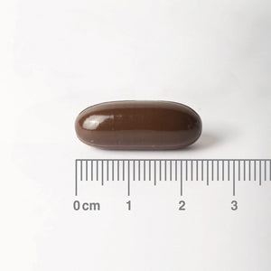 Aceite de semillas de Lino 1000 mg - 90 Cápsulas