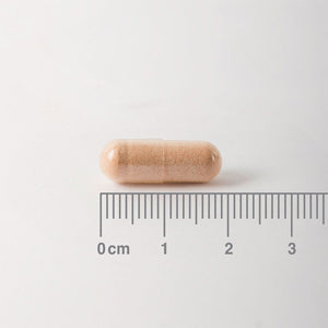 Pycnogenol - 60 Cápsulas