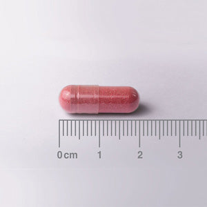 Arándano Rojo 18750 mg  - 60 Cápsulas