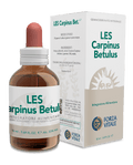 Forza Vitale Les Carpinus Betulus Carpino - 50ml