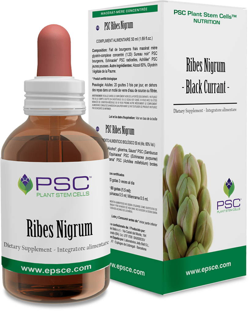 PSC Ribes Negrum - 15ml     